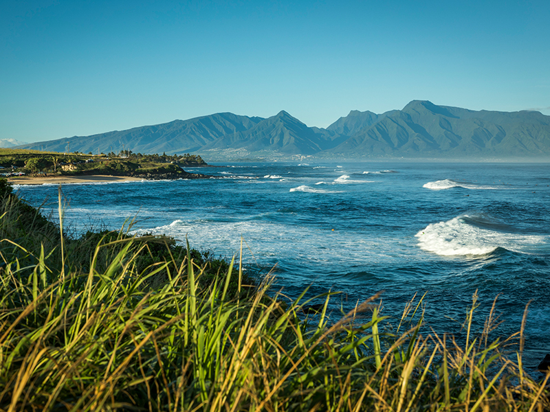 Northshore Paia Homes for Sale on Maui