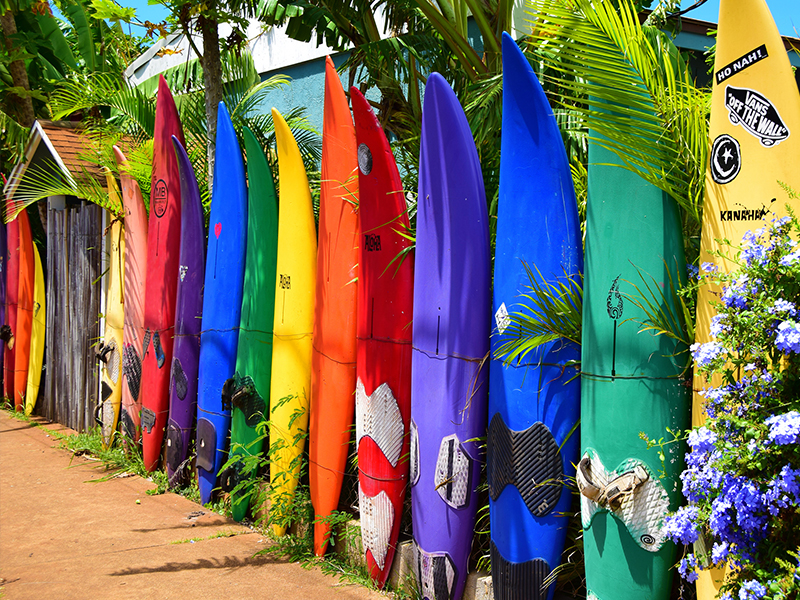 Northshore Paia Homes for Sale on Maui
