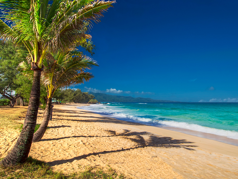 Northshore Paia Homes for Sale on Maui